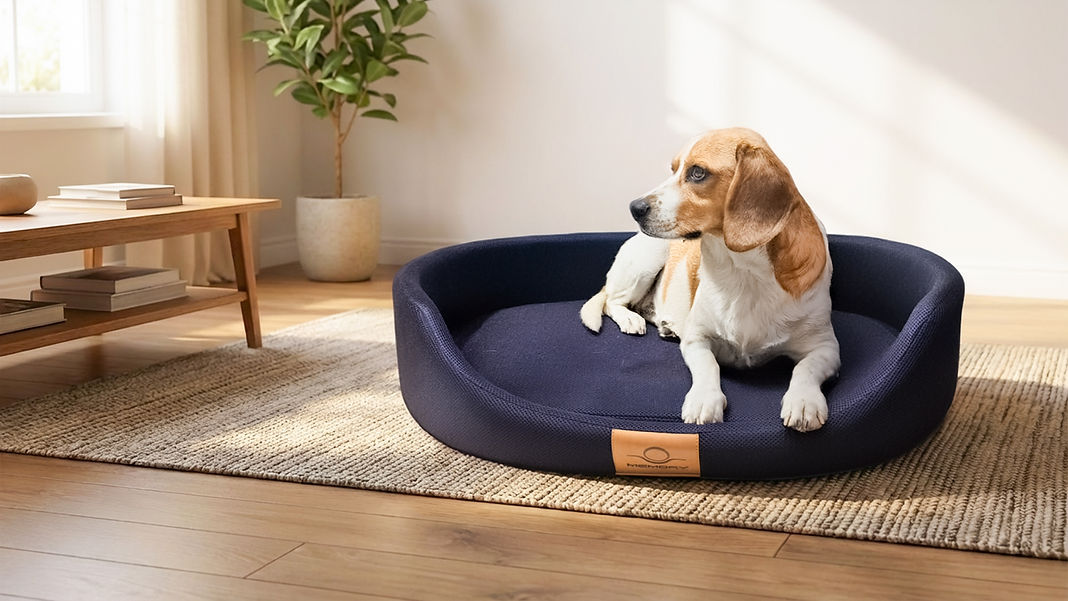EVL-COUV-catalogue-animalerie-2026.jpg