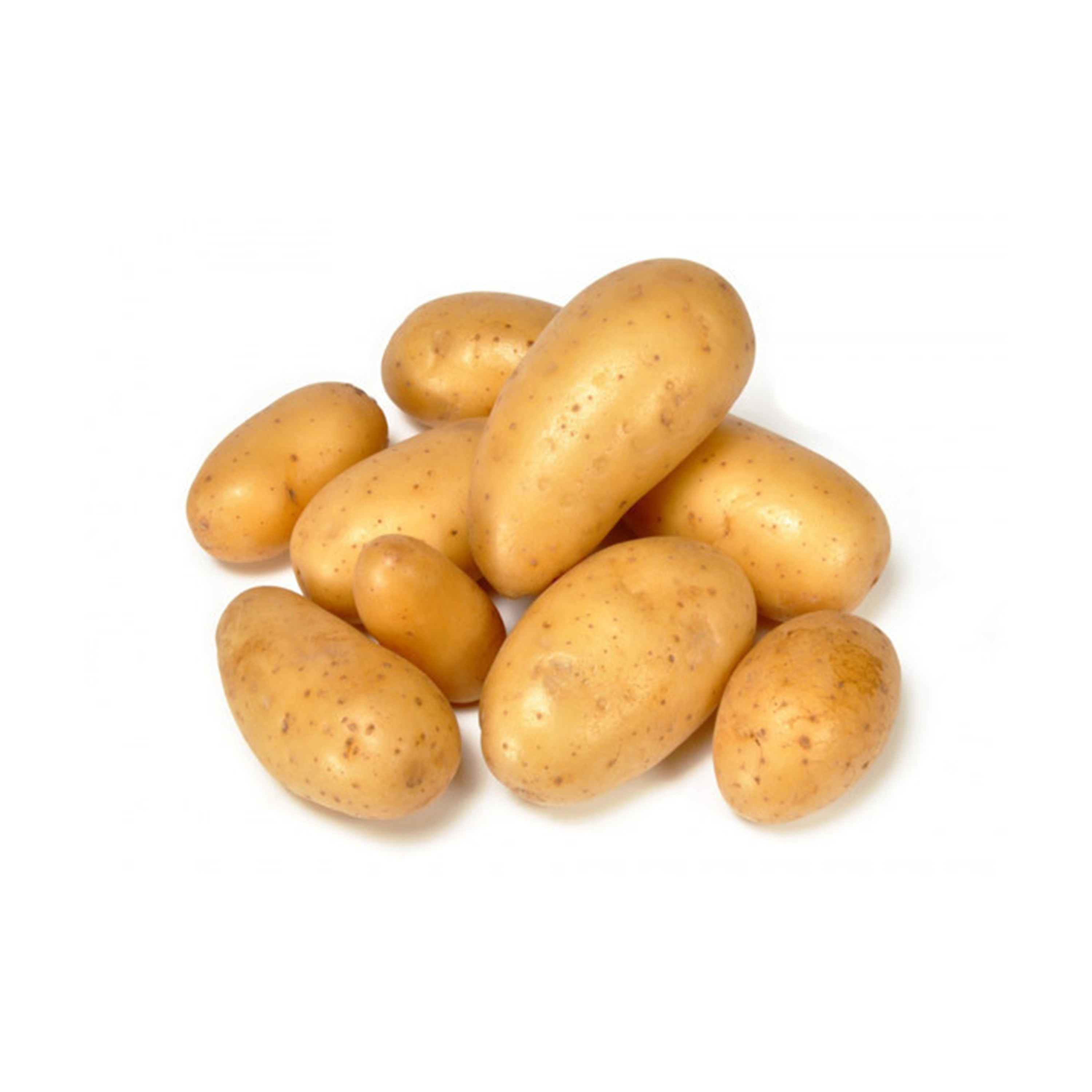 POMME DE TERRE GOLDMARIE - CAL 25/35 - 1,5KG - BERNARD®