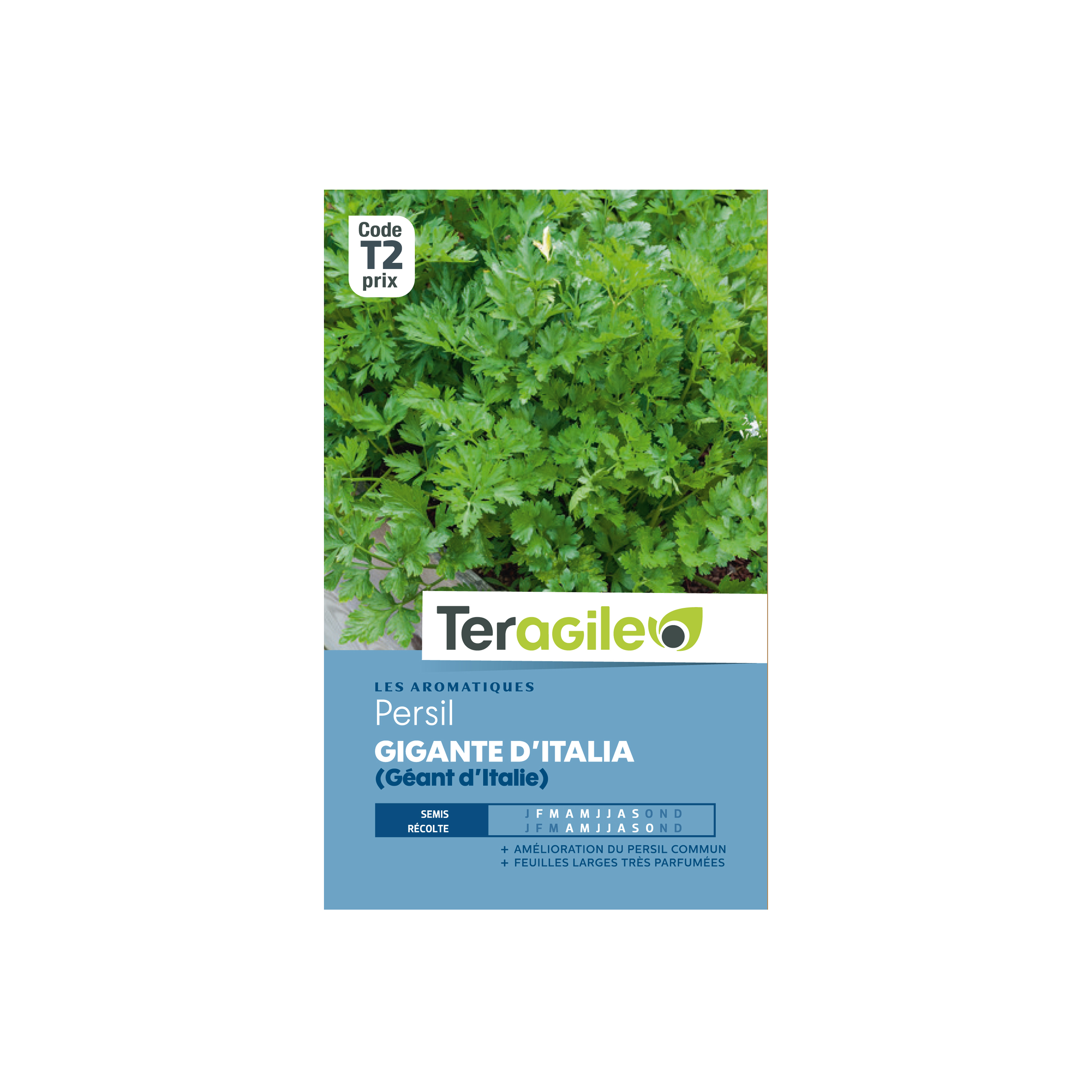 GRAINES PERSIL GÉANT D'ITALIE (GIGANTE D'ITALIA) 5G TERAGILE®