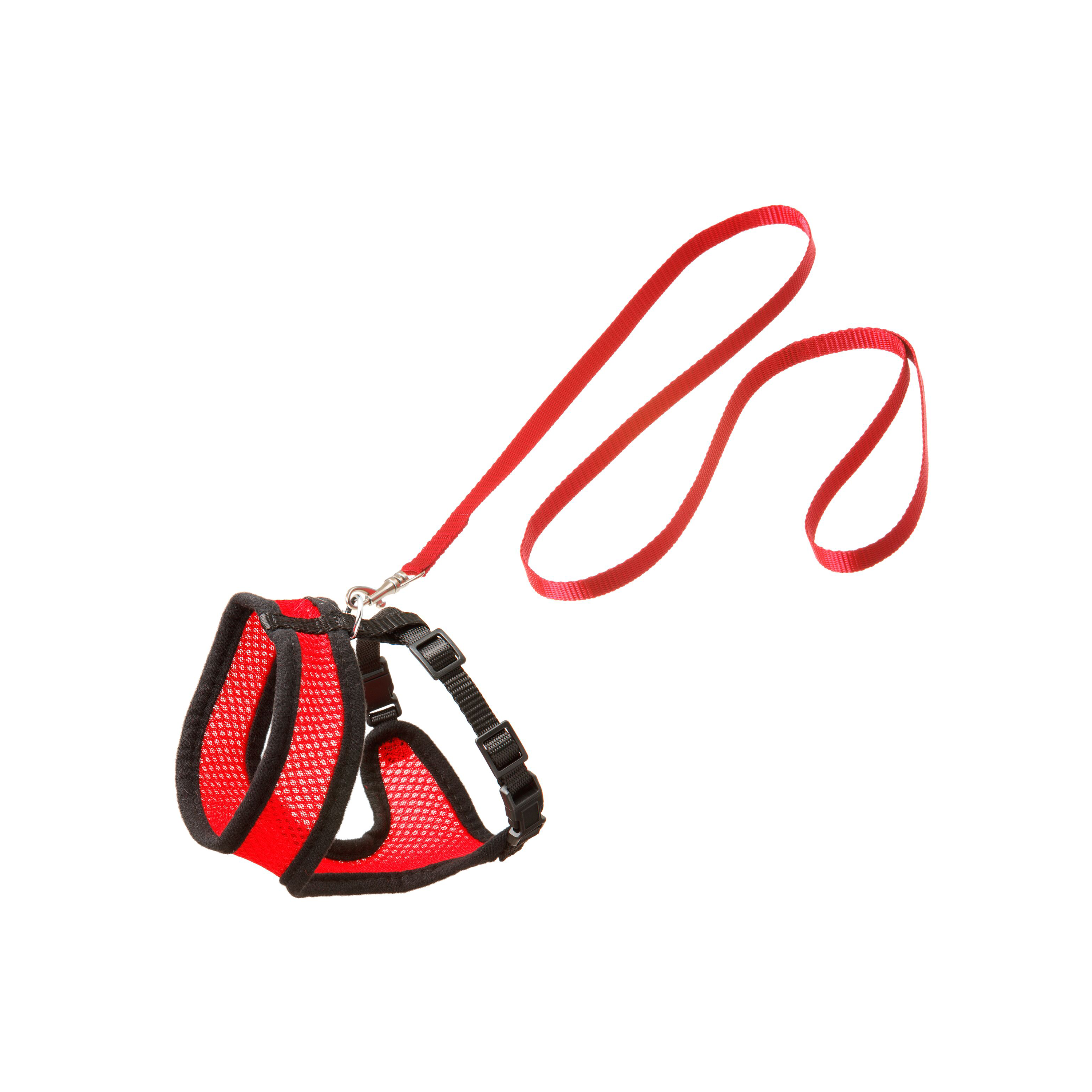 HARNAIS AVEC LAISSE POUR CHATON 'HARMS' FLAMINGO™️ - ROUGE/NOIR - 28CM