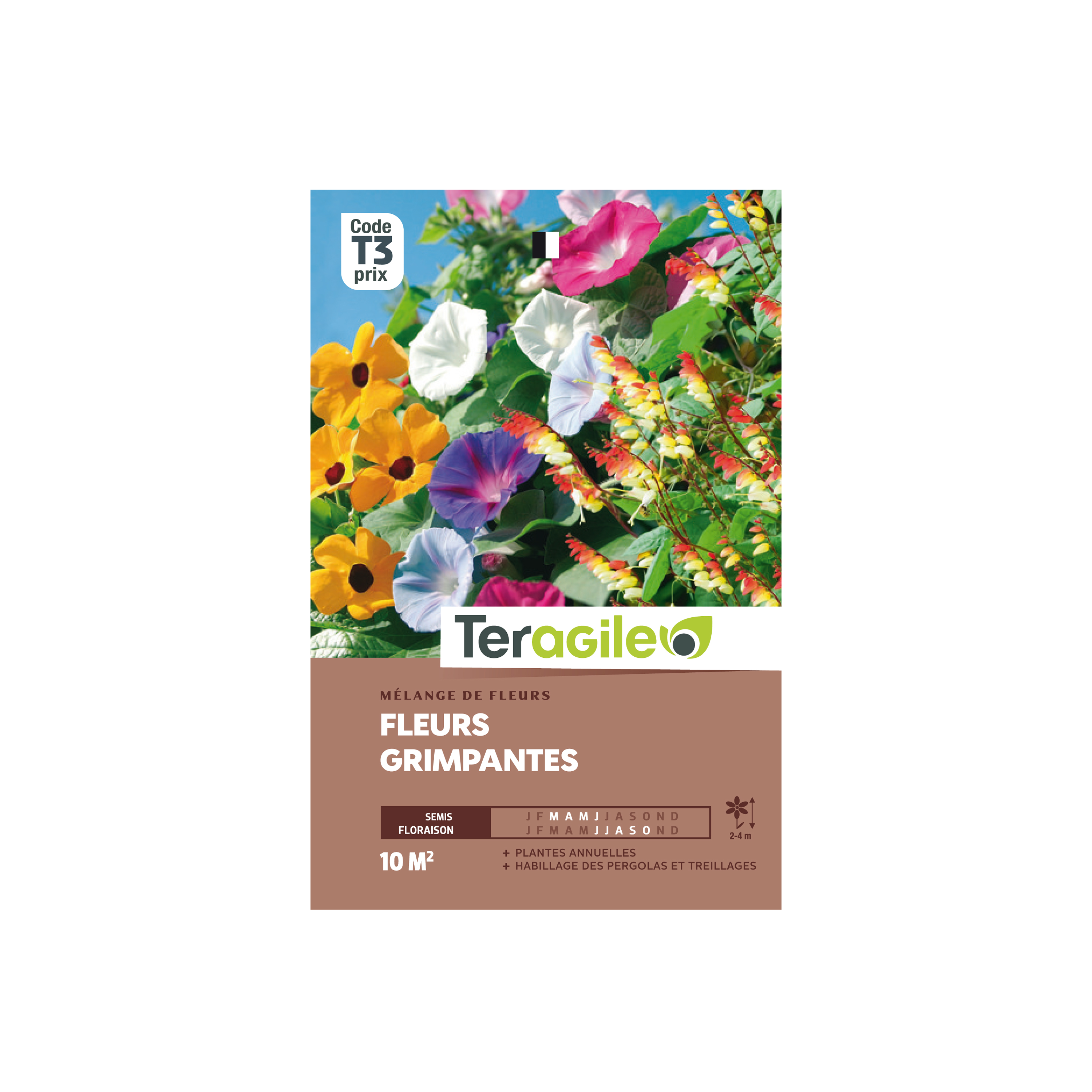 GRAINES FLEURS GRIMPANTES EN MÉLANGE 20G TERAGILE®
