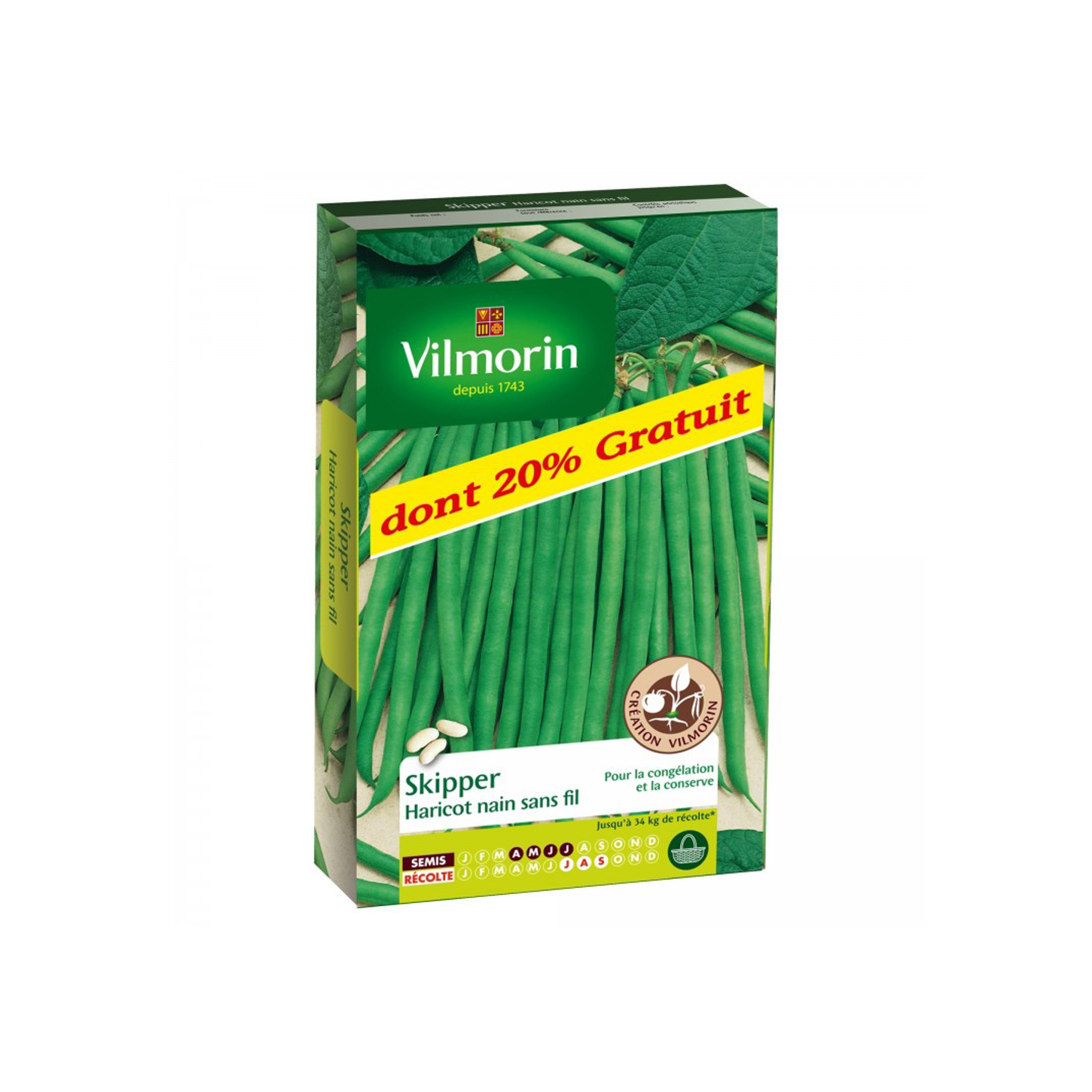 GRAINES HARICOT SKIPPER VILMORIN® - 20G