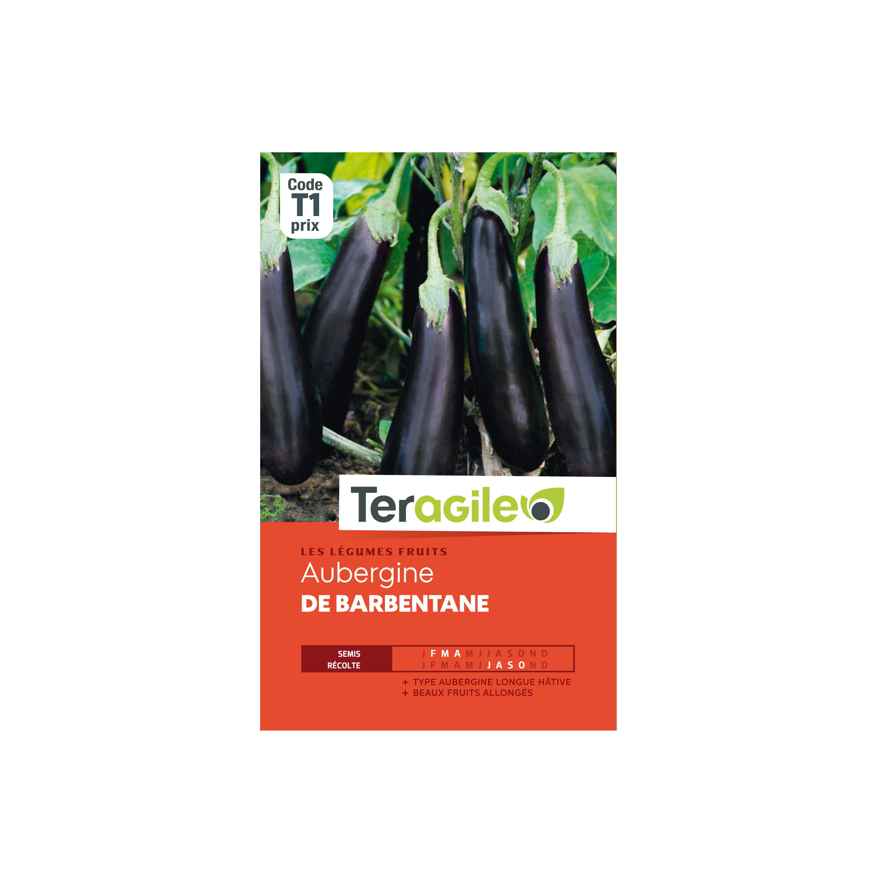 GRAINES AUBERGINE DE BARBENTANE 2.5G TERAGILE®