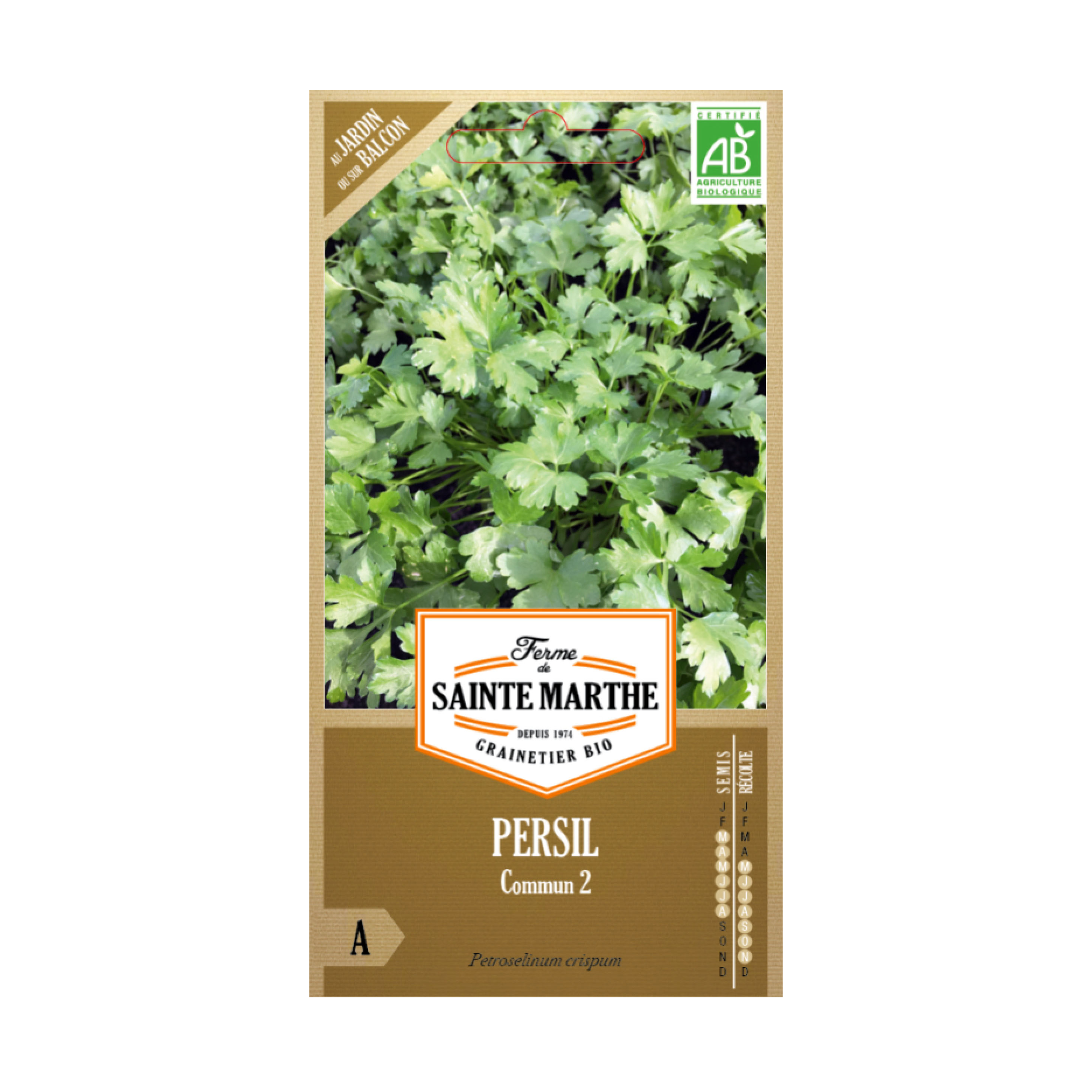 GRAINES PERSIL COMMUN 2 BIO