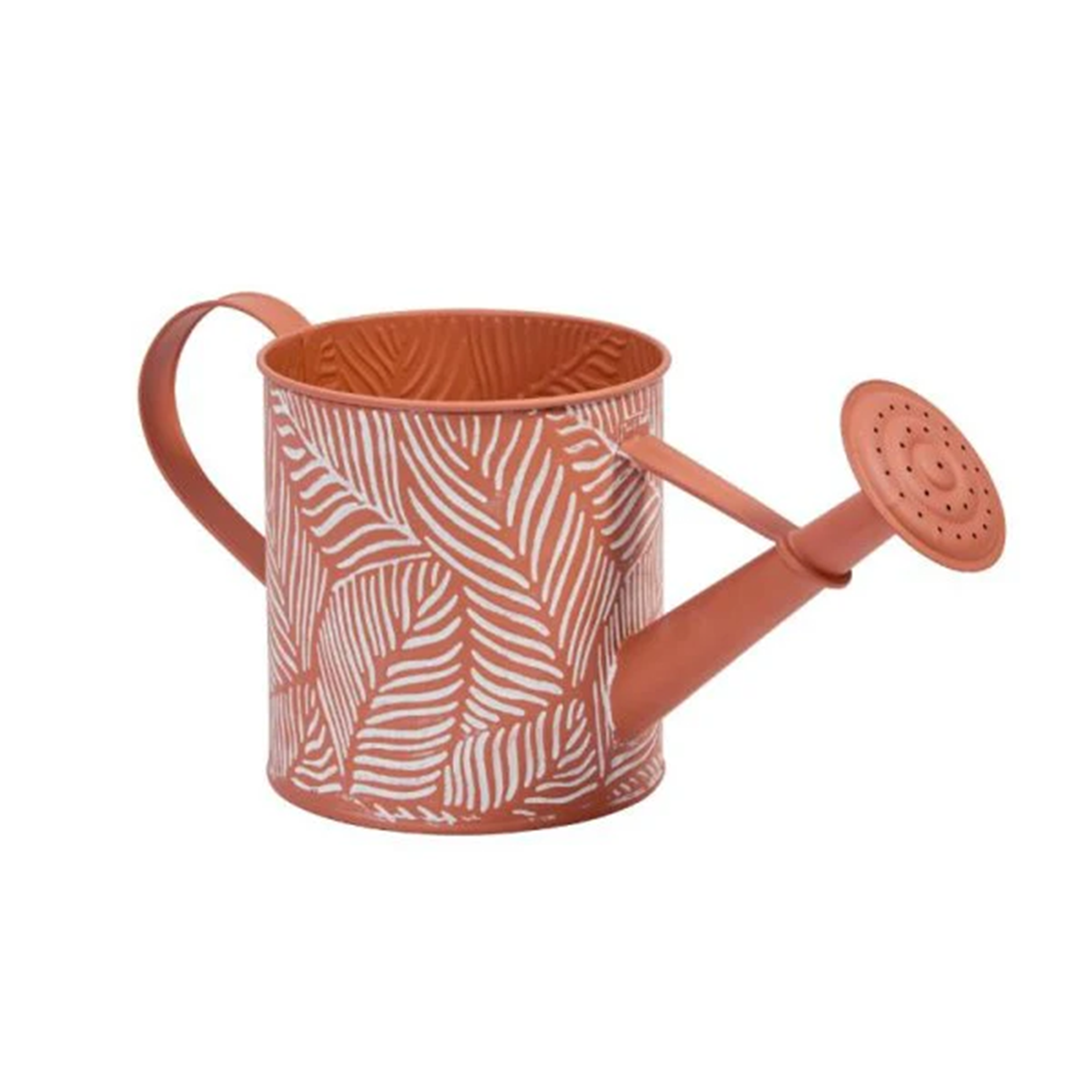 ARROSOIR À PLANTES - FOUGÈRE - TERRACOTTA