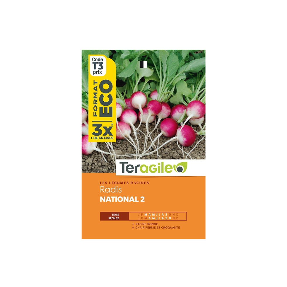 GRAINES RADIS NATIONAL 2 ECO 27G TERAGILE®