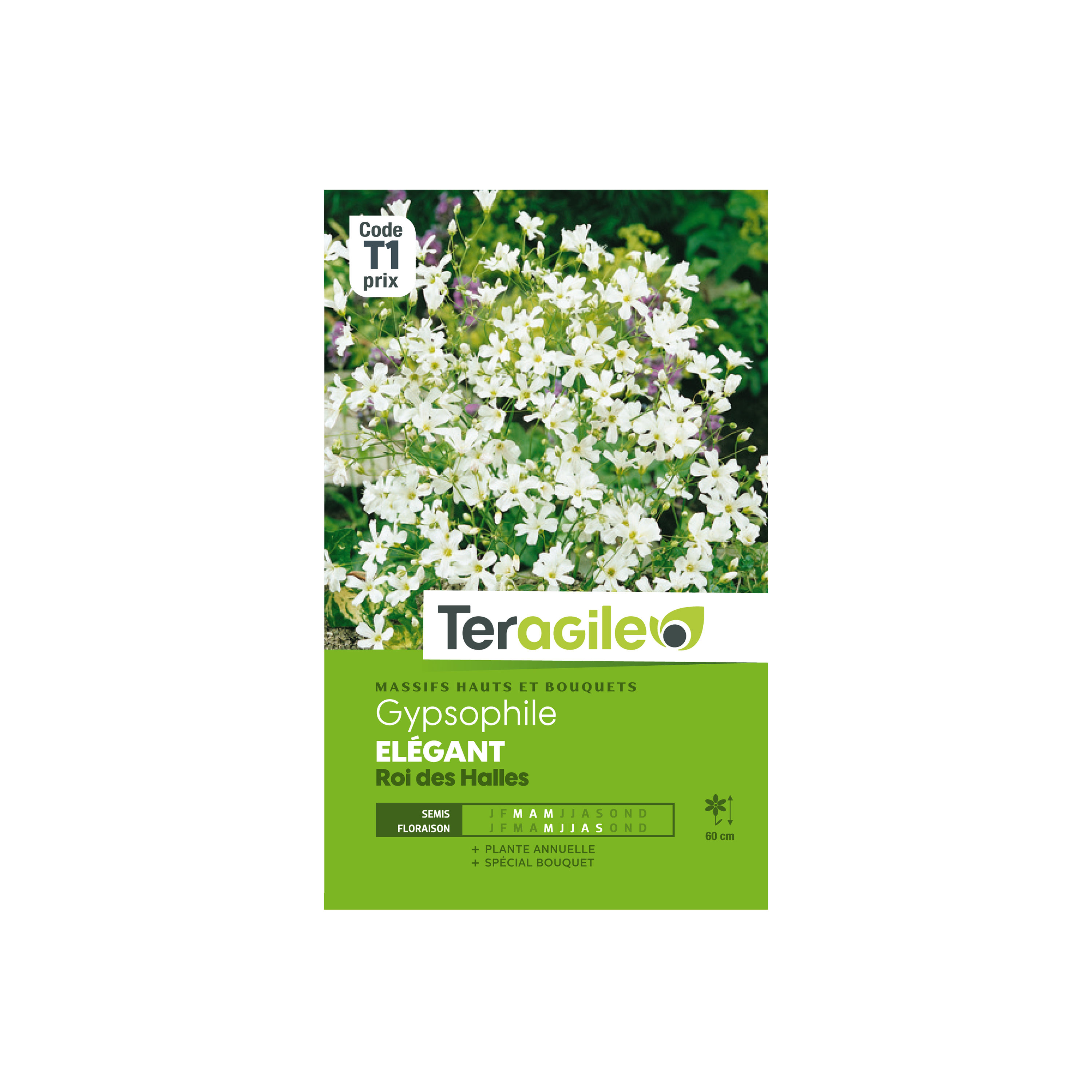 GRAINES GYPSOPHILE ÉLÉGANT ROI DES HALLES 1.5G TERAGILE®