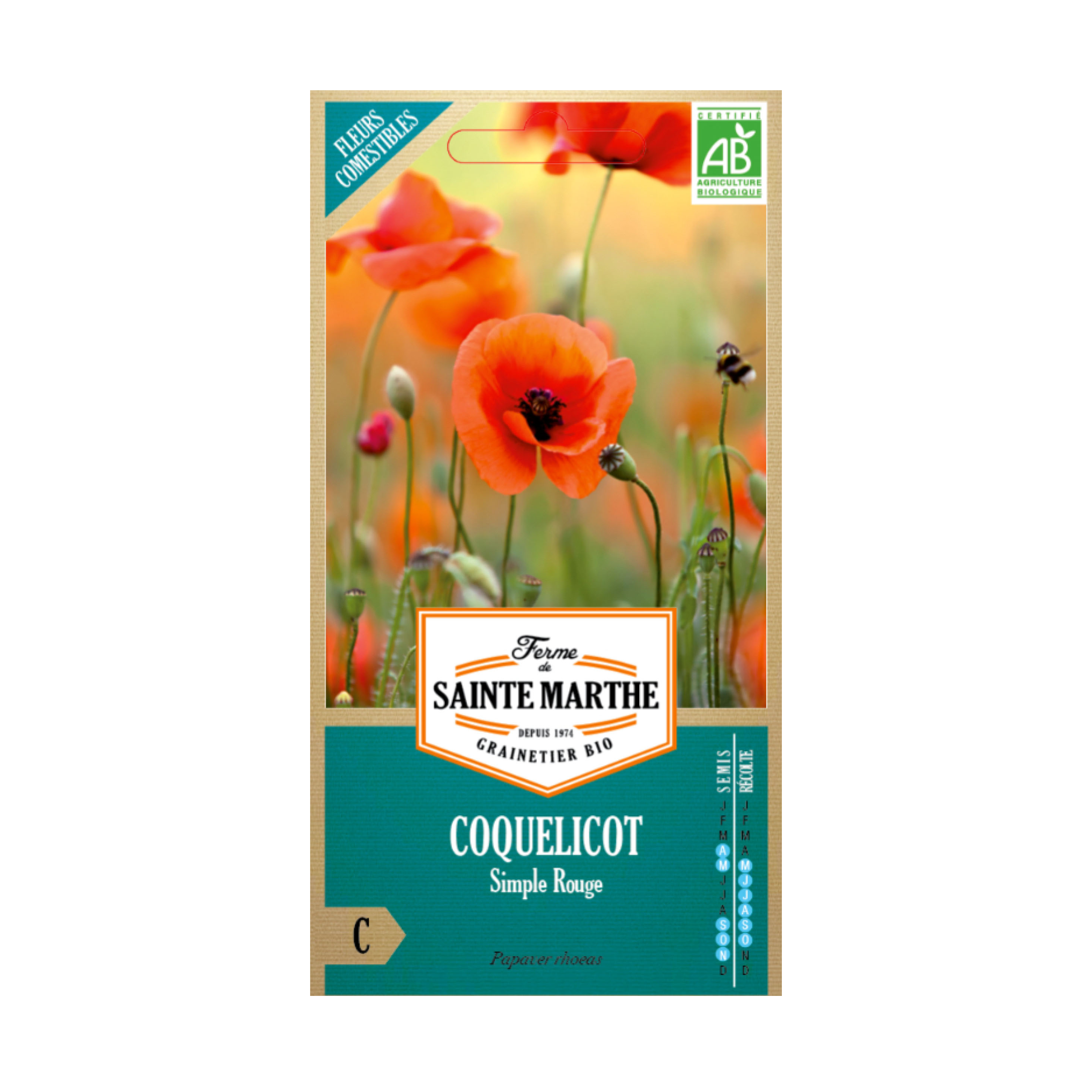 GRAINES COQUELICOT SIMPLE ROUGE BIO