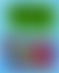 God's Word on Immigration