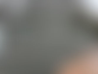 2.4m High Steel Palisade