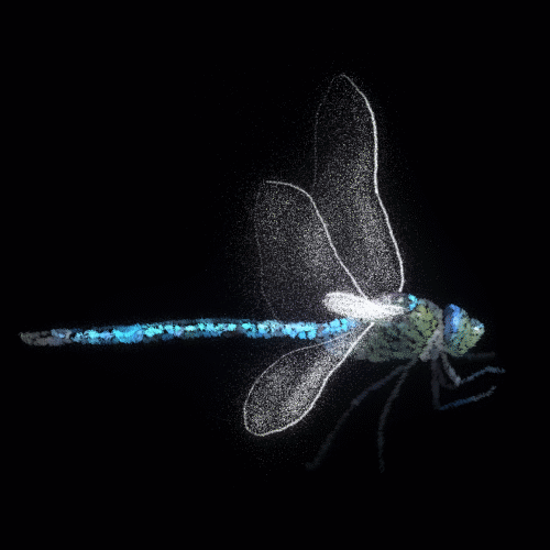 03EC3F16-3251-43FA-9C1E-4CA0DE6365E9.gif