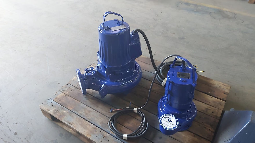 Manutenção de bombas submerssas (1)