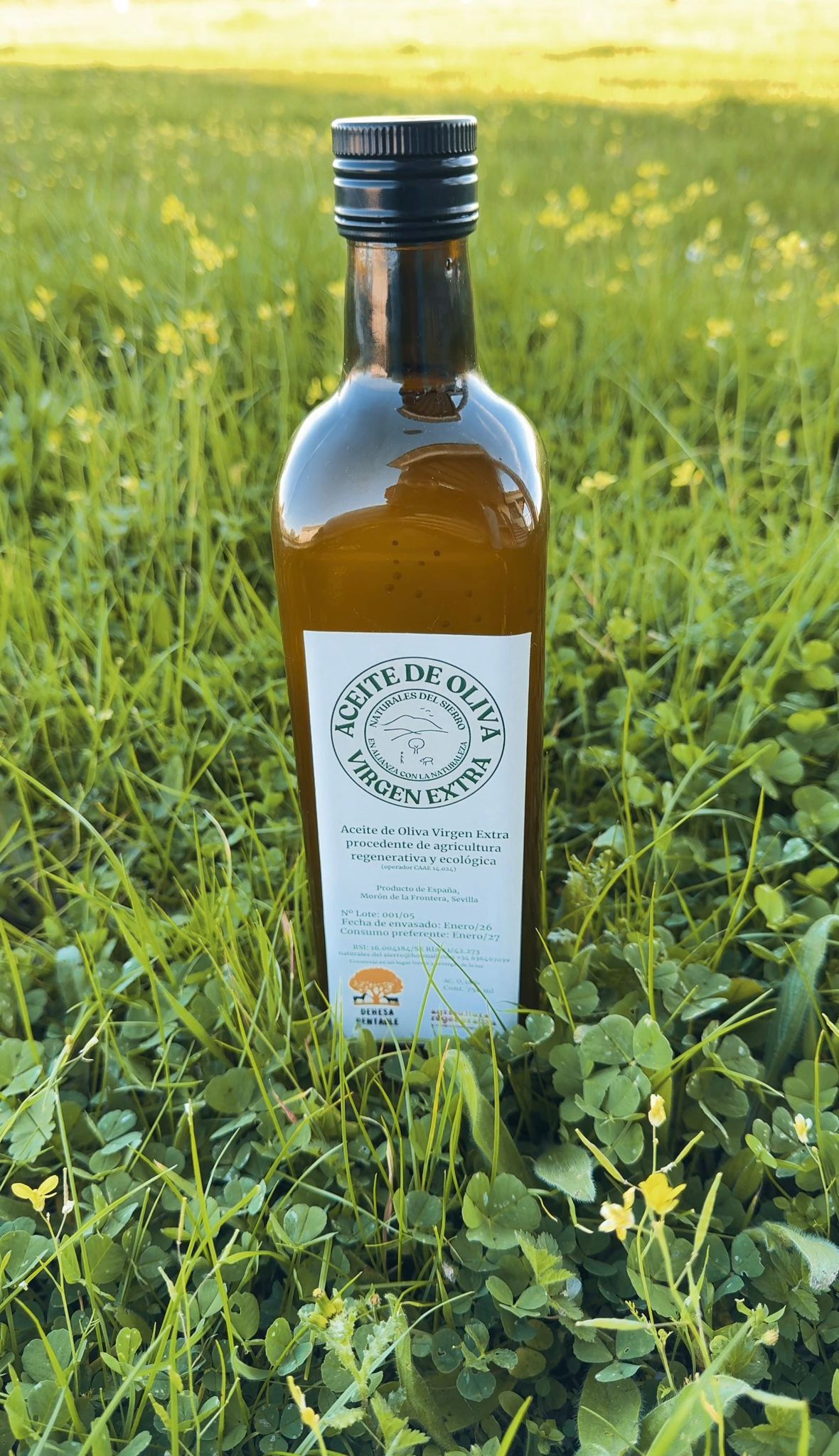 ACEITE DE OLIVA VIRGEN EXTRA (BOTELLA DE 750 ML)