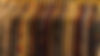 KJM03919-min_edited.jpg