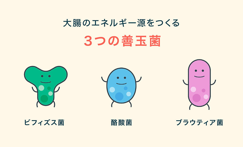 illust_05.jpg