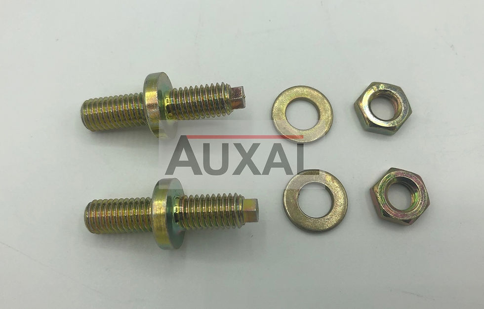 Miniature : Vis barre de torsion 205 GTI - torsion bar adjuster screw