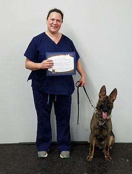 dog obedience training