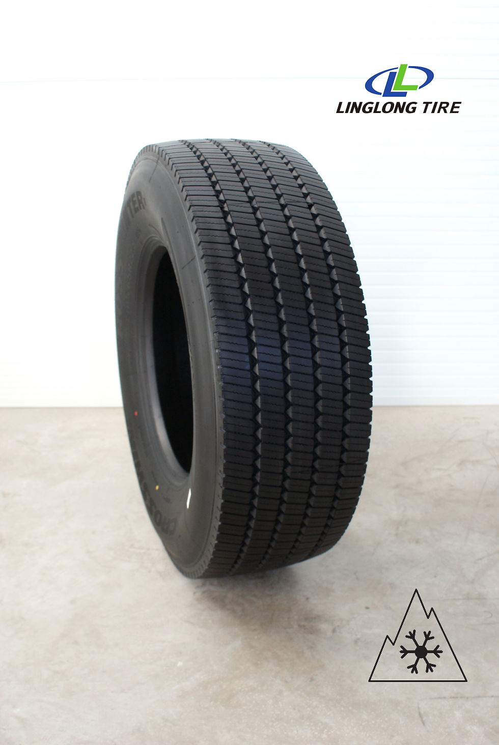 385/65R22.5 - WS06