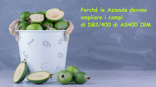 Perchè le Aziende devono ampliare i campi del DB2/400 di AS400 IBM