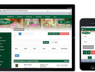 Trasforma le Applicazioni IBM i in siti Web e Mobile Innovativi: La Via Rapida alla Modernizzazione