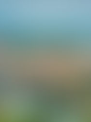 The Concierge Mindset