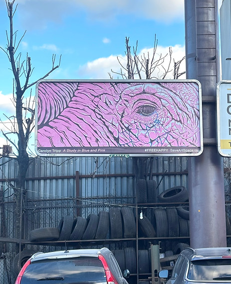 Free Happy Installation Shot NYC 2025 copy.jpg