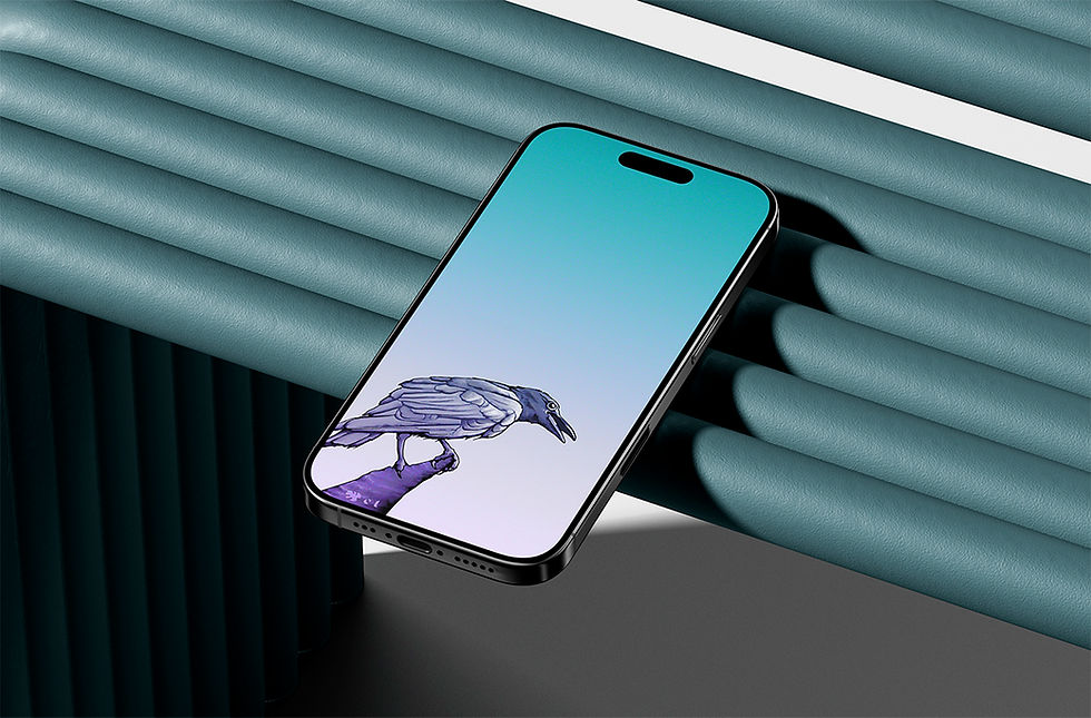 Crow Friend Lock Screen