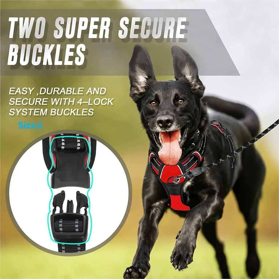 Thumbnail: Dog Collars Harness Big Vests Leash Pet Shop Everything for Dogs Leather Puppy A