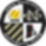 NESC 2024 - LOGO_edited.png