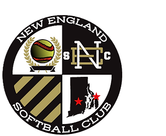 New updated logo no background.png