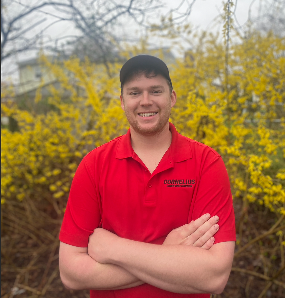 The best lawn care and landscaping tips I've learned as a professional landscaping business owner