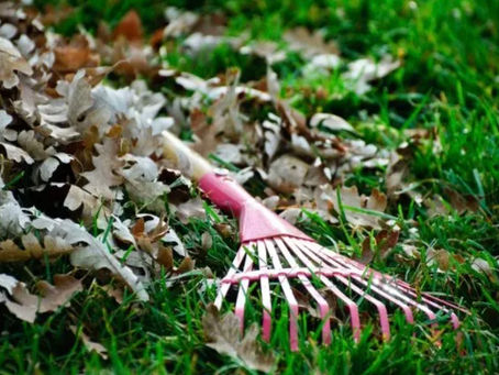 What should you do with fall leaves?