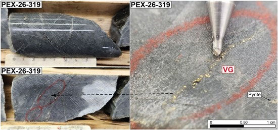 Figure 4: Photos de carottes montrant de l'or visible "VG dans le trou PEX-26-319 de la N110 Zone.