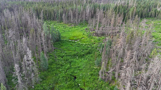DJI_20260703194838_0598_D.JPG