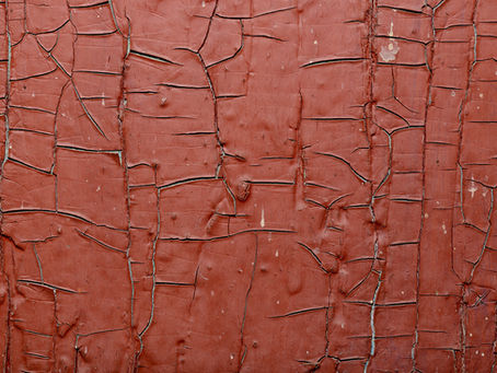 Household and Environmental Hazards