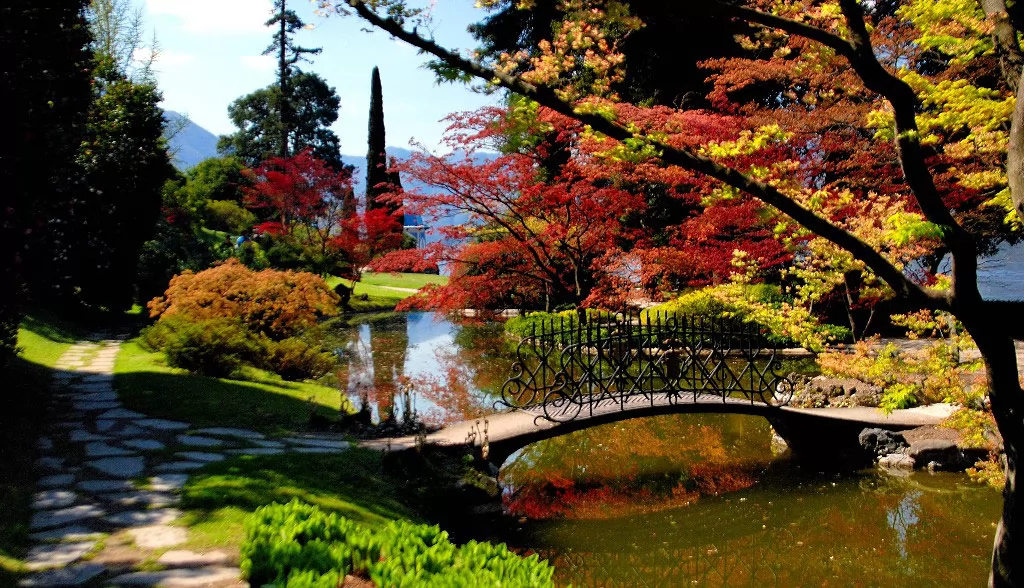 Laghetto in giardino con ponticello che si riflette in acqua con alberi colorati sullo sfondo verde e rossi