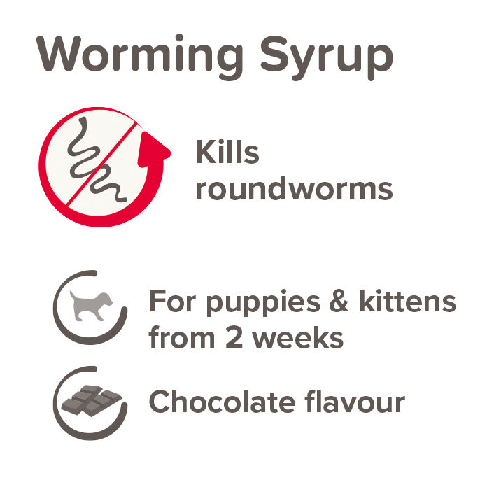 Thumbnail: Beaphar Worming Syrup for Puppies & Kittens 45ml