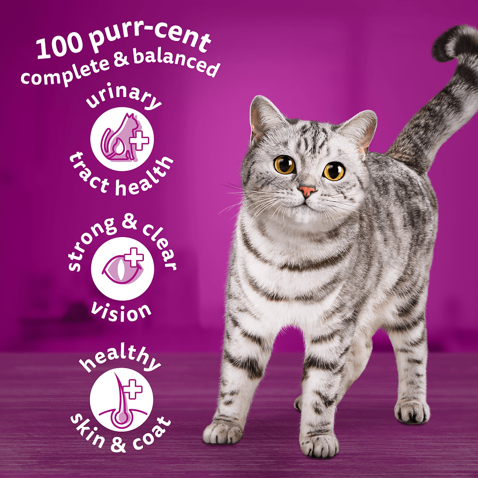Thumbnail: Whiskas 1+ Adult Cat Dry Food with Tuna 300g/800g
