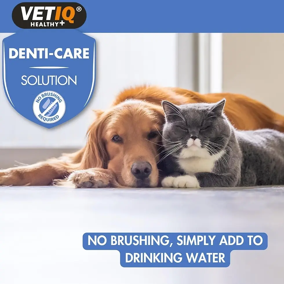 Thumbnail: VetIQ Denti-Care Solution for Cats and Dogs 250ml