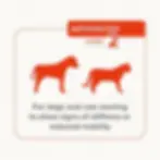 Thumbnail: Beaphar FlexiFit Advanced Level 2 Pet Joint Paste 250g