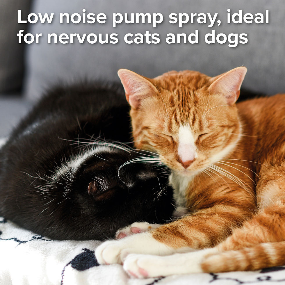 Thumbnail: Beaphar Flea Spray for Cats & Dogs 150ml