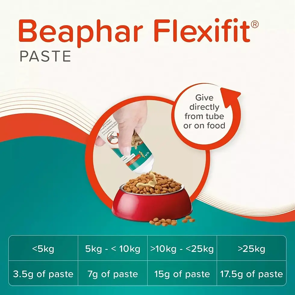 Thumbnail: Beaphar FlexiFit Advanced Level 2 Pet Joint Paste 250g