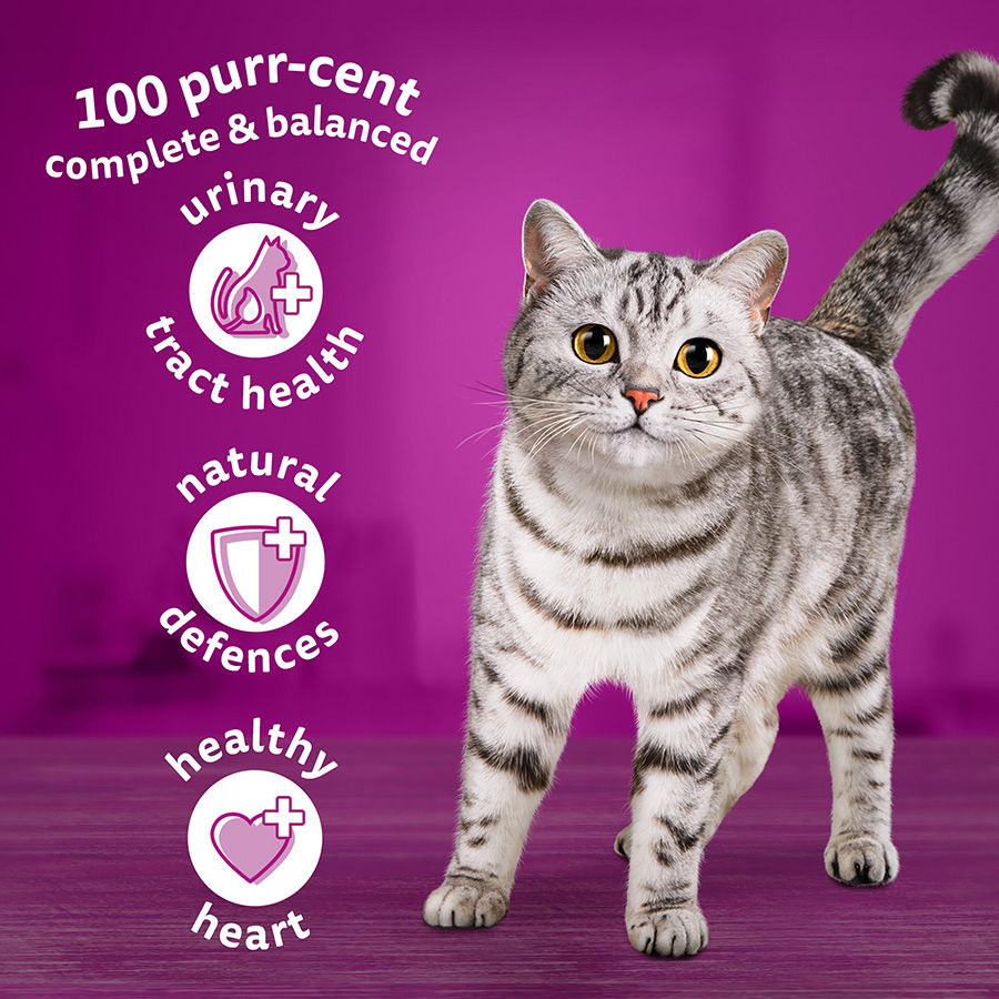Thumbnail: Whiskas 7+ Senior Cat Dry Food with Chicken 800g/1.9kg