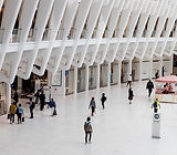 group-people-city-composition_edited.jpg