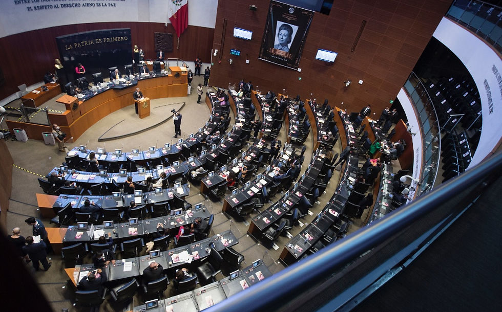SENADO.jpg