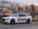 NORTHSTAR_CAR.jpg