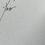 Thumbnail: Jeremy Christner: LANTERNS Signed Copy