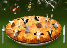 Cow Pie.jpg