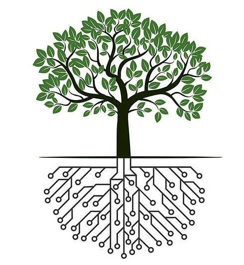 Structure tree image.jpg