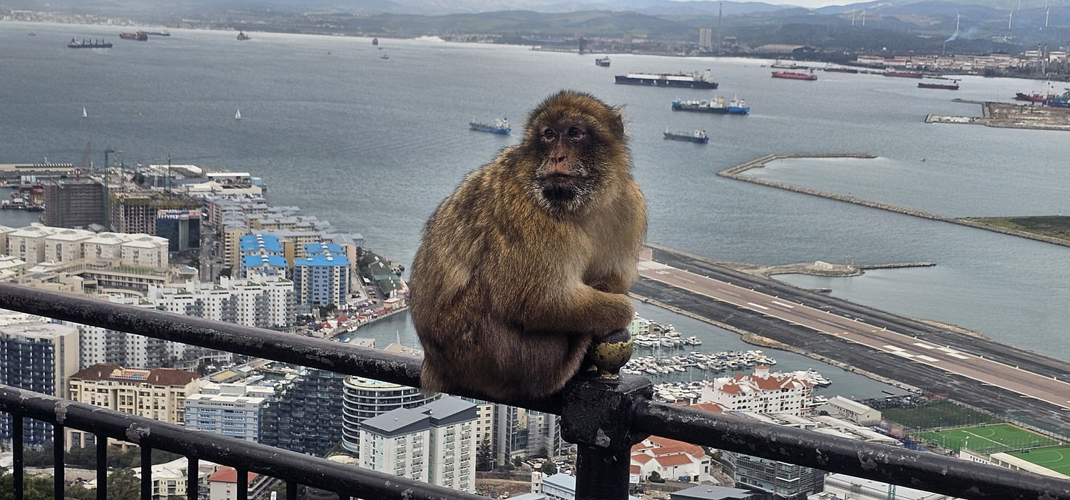 WhatsApp Image 2026-01-17 at 22.05.09.jpeg